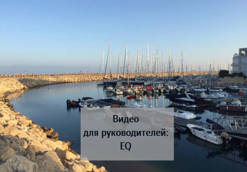 Эмоциональный менеджмент: видео для руководителей