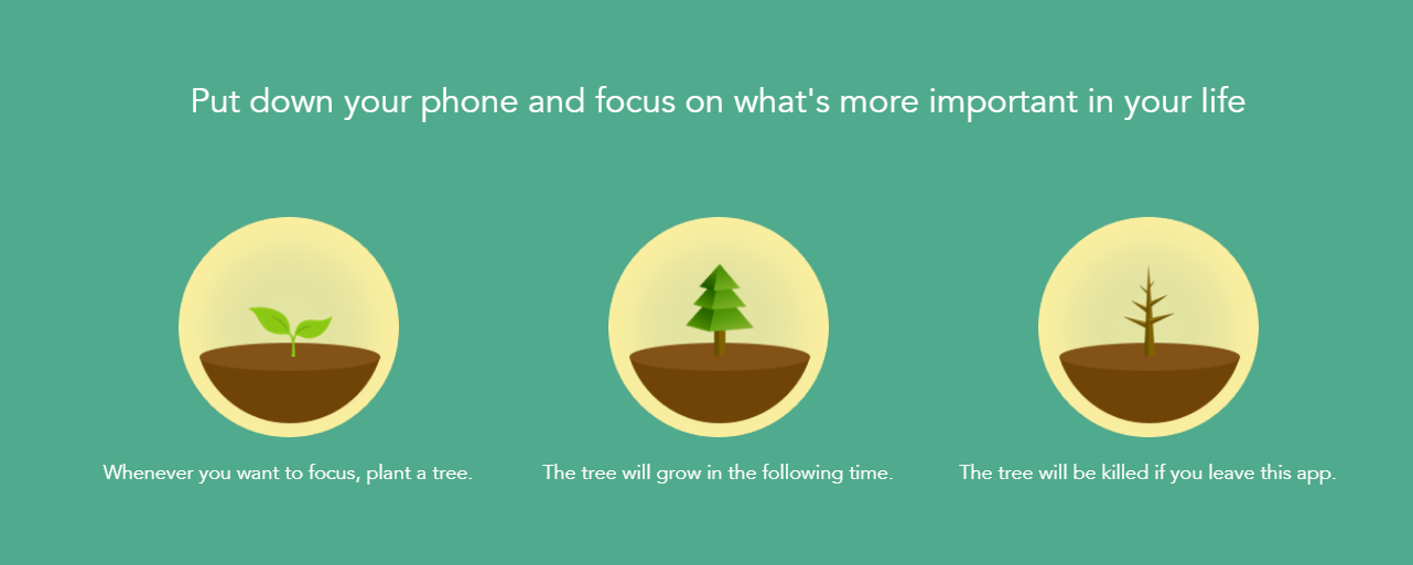 Forest.png