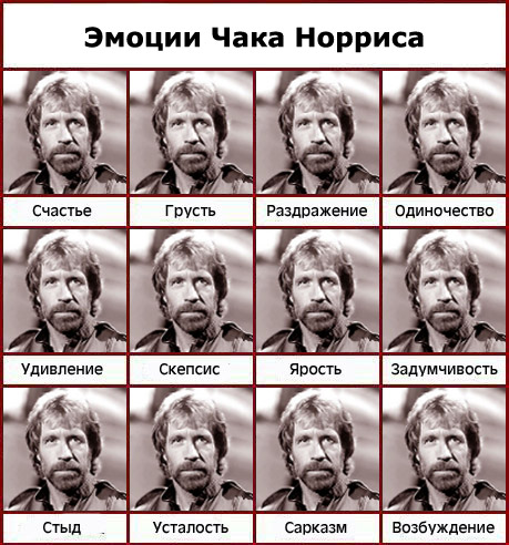 chak_norris_1.jpg