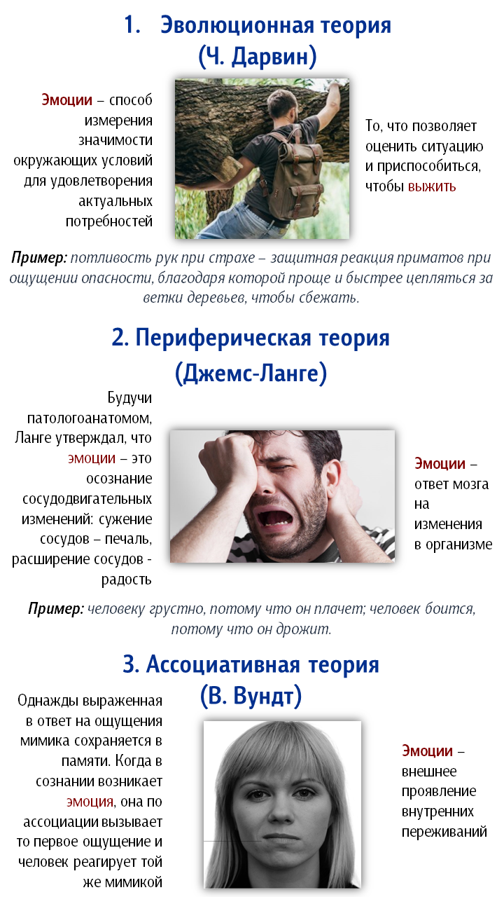 teor_emoc_1.png